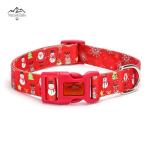 Festive Dog Collar and Leash Set for All Sizes