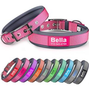 Personalized Reflective Dog Collar with Name & Phone Number
