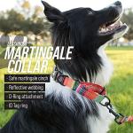 Leash Boss Reflective Martingale Dog Collar