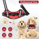Service Dog Vest and ID Tag Set