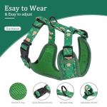 Beirui Christmas Dog Collar and Leash Set