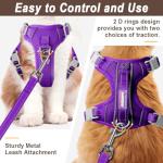 Escape-Proof Cat Harness and Leash Set with ID Pocket