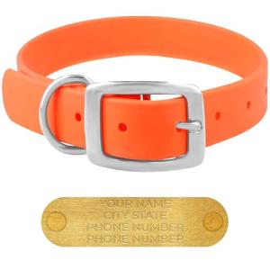 Large Orange Waterproof Dog Collar with Engraved Name Tag