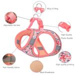 Adjustable No-Pull Harness and Leash Set for Small Dogs