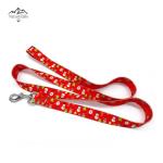 Festive Dog Collar and Leash Set for All Sizes