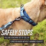Leash Boss Reflective Martingale Dog Collar