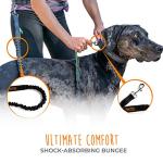 Mighty Paw Hands-Free Bungee Dog Leash