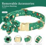 Beirui Christmas Dog Collar and Leash Set