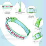 Personalized Reflective Dog Collar with Name ID