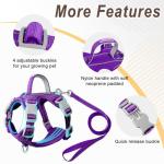 Escape-Proof Cat Harness and Leash Set with ID Pocket