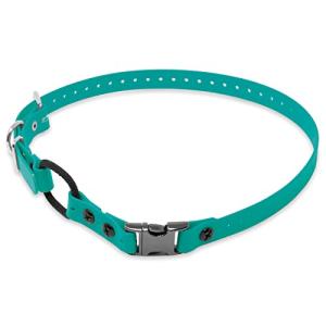 Teal Biothane Waterproof Bungee Dog Collar