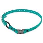 Teal Biothane Waterproof Bungee Dog Collar