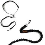 Mighty Paw Hands-Free Bungee Dog Leash