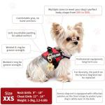 Service Dog Vest and ID Tag Set