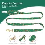 Beirui Christmas Dog Collar and Leash Set