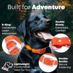 Large Orange Waterproof Dog Collar with Engraved Name Tag
