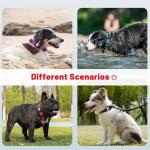 Taglory Reflective Dog Collar with AirTag Holder