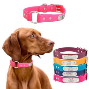 Custom Waterproof Dog Collar with Engraved Nameplate