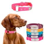 Custom Waterproof Dog Collar with Engraved Nameplate