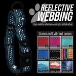 Leash Boss Reflective Martingale Dog Collar