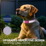 Personalized Reflective Dog Collar with Name & Phone Number