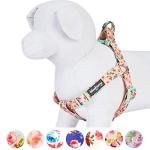 Pastel Pink Dog Harness with Rose & Butterfly Print