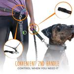 Mighty Paw Hands-Free Bungee Dog Leash