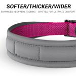 Personalized Reflective Dog Collar with Name & Phone Number
