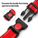 Custom Reflective Martingale Dog Collar with Name