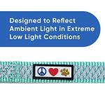 Personalized Reflective Dog Leash with Pet Name