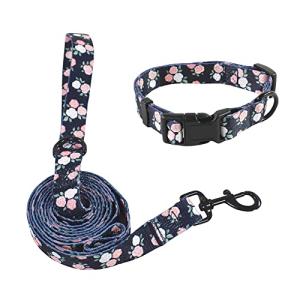 Floral Pet Collar and Leash Set for Small Dogs