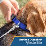 Personalized Dog Collar with Embroidered ID and Name