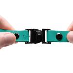 Teal Biothane Waterproof Bungee Dog Collar