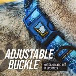 Leash Boss Reflective Martingale Dog Collar