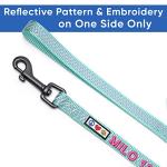 Personalized Reflective Dog Leash with Pet Name