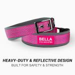 Personalized Reflective Dog Collar with Name & Phone Number