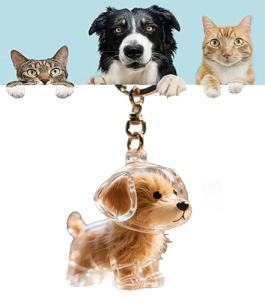 DIY Pet Keepsake Keychain Charm Storage Box