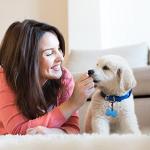 Dog Tag Clips - 12-Piece ID Holder Set