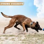 12 Funny Dog Patches for Harnesses and Vests