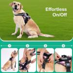 Custom Reflective No-Pull Dog Harness with Name