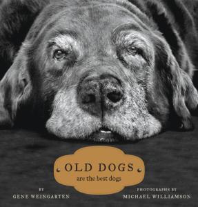 Old Dogs Are the Best Companions