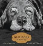 Old Dogs Are the Best Companions