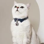 WhoseID QR Code Cat Tag with Emergency Contacts