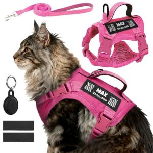 Custom Pink Cat Harness and Leash Set