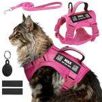 Custom Pink Cat Harness and Leash Set