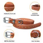 Adjustable Leather ID Collars for Dogs - Set of 12/16
