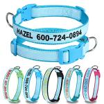 Personalized Reflective Dog Collar with Name ID