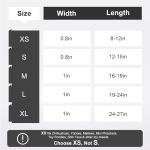 Personalized Reflective Dog Collar with Name & Phone Number