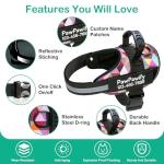 Custom Reflective No-Pull Dog Harness with Name