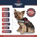 Service Dog Vest Harness Kit with ID Tags